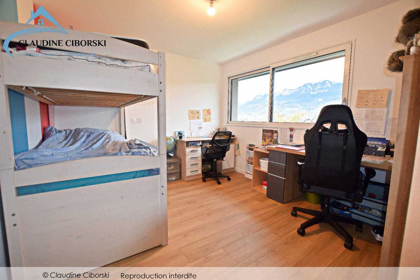 vente Maison La Roche Sur Foron - Photo 11