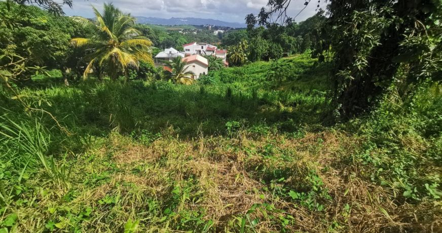 vente Terrain en lotissement Fort De France