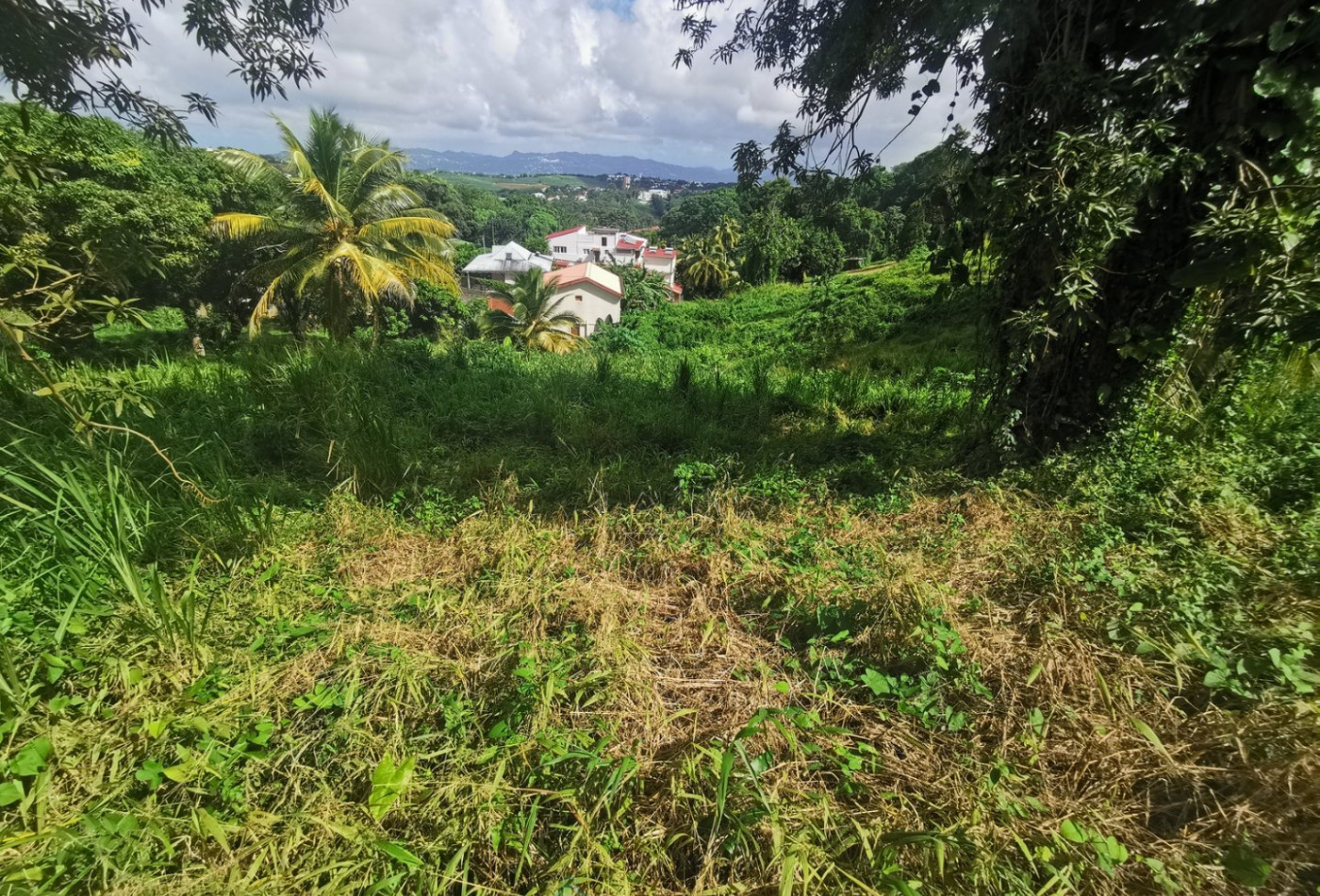 vente Terrain en lotissement Fort De France - Photo 2