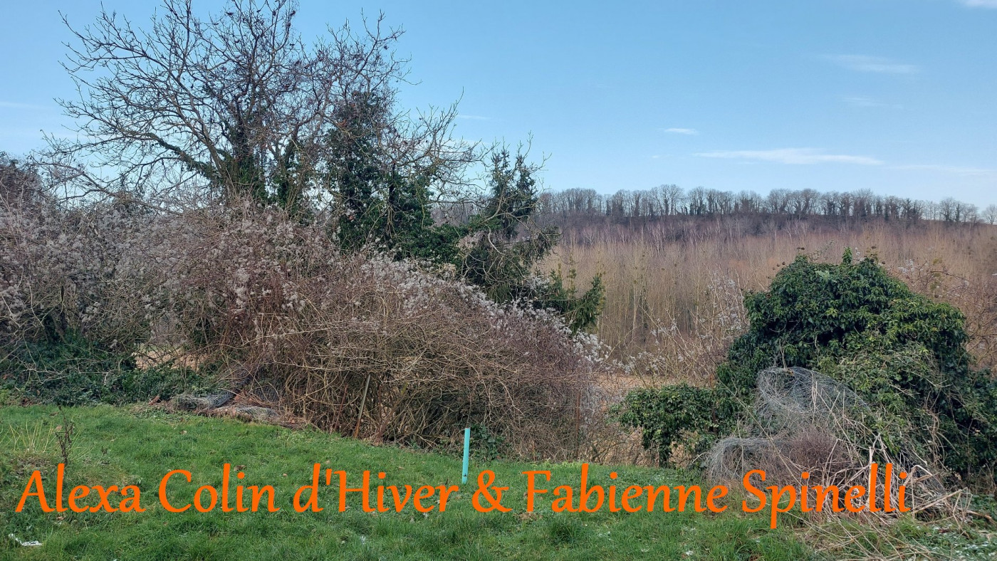 vente Maison individuelle Leury - Photo 14