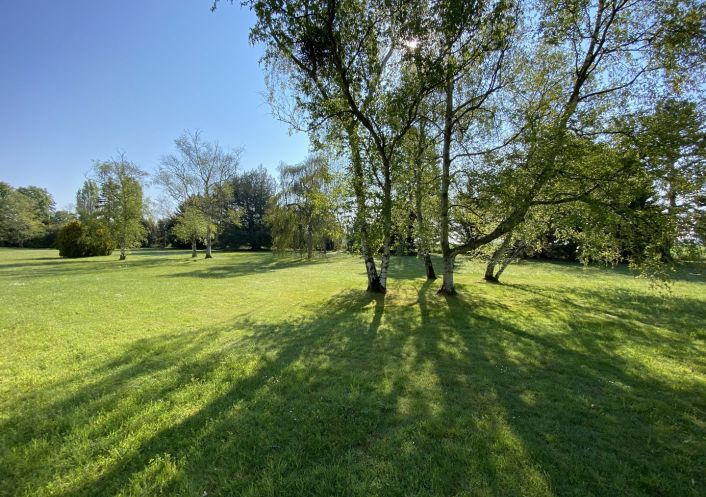 vente Terrain Soindres