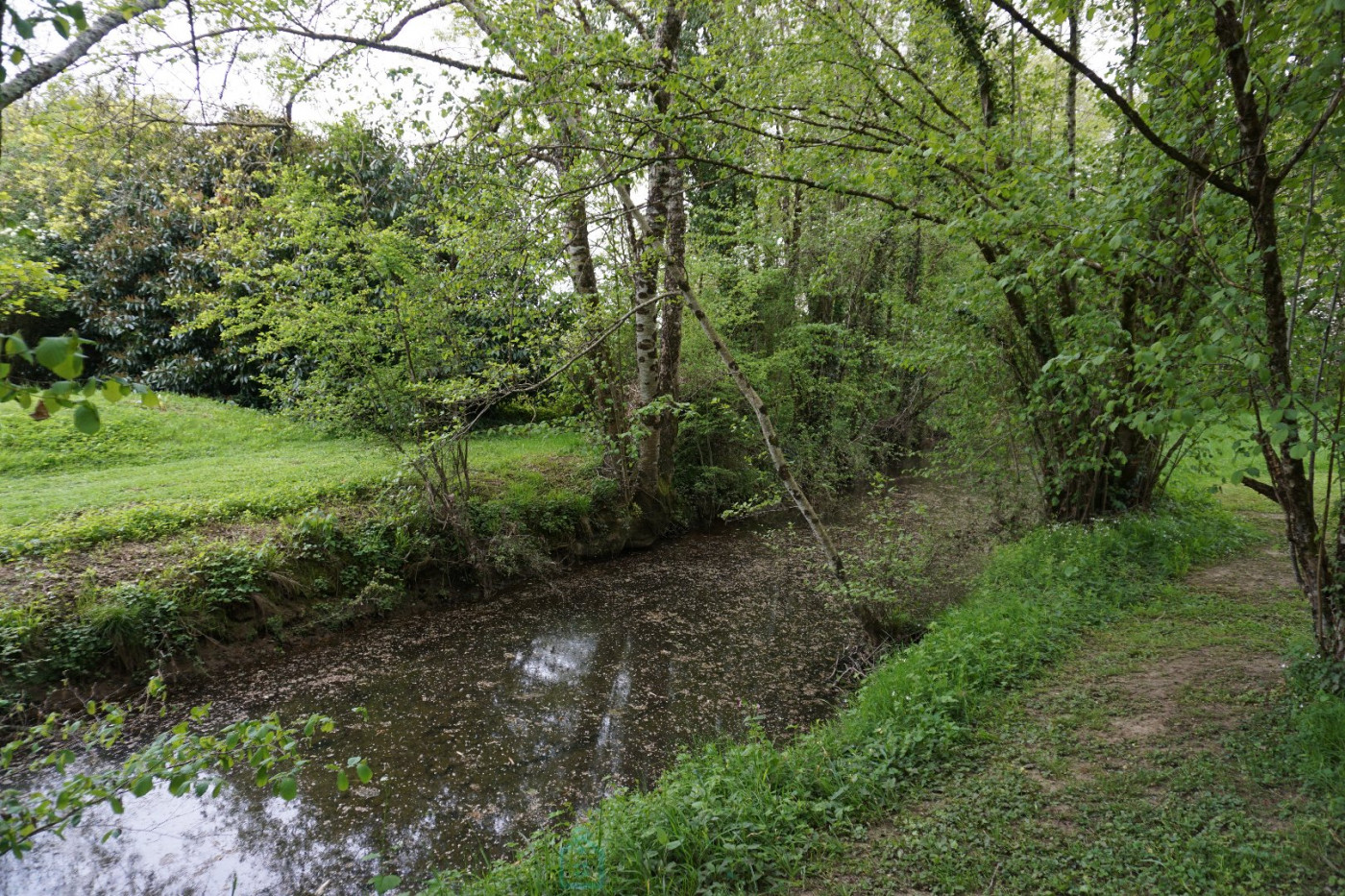 vente Maison de maître La Chapelle Faucher - Photo 7