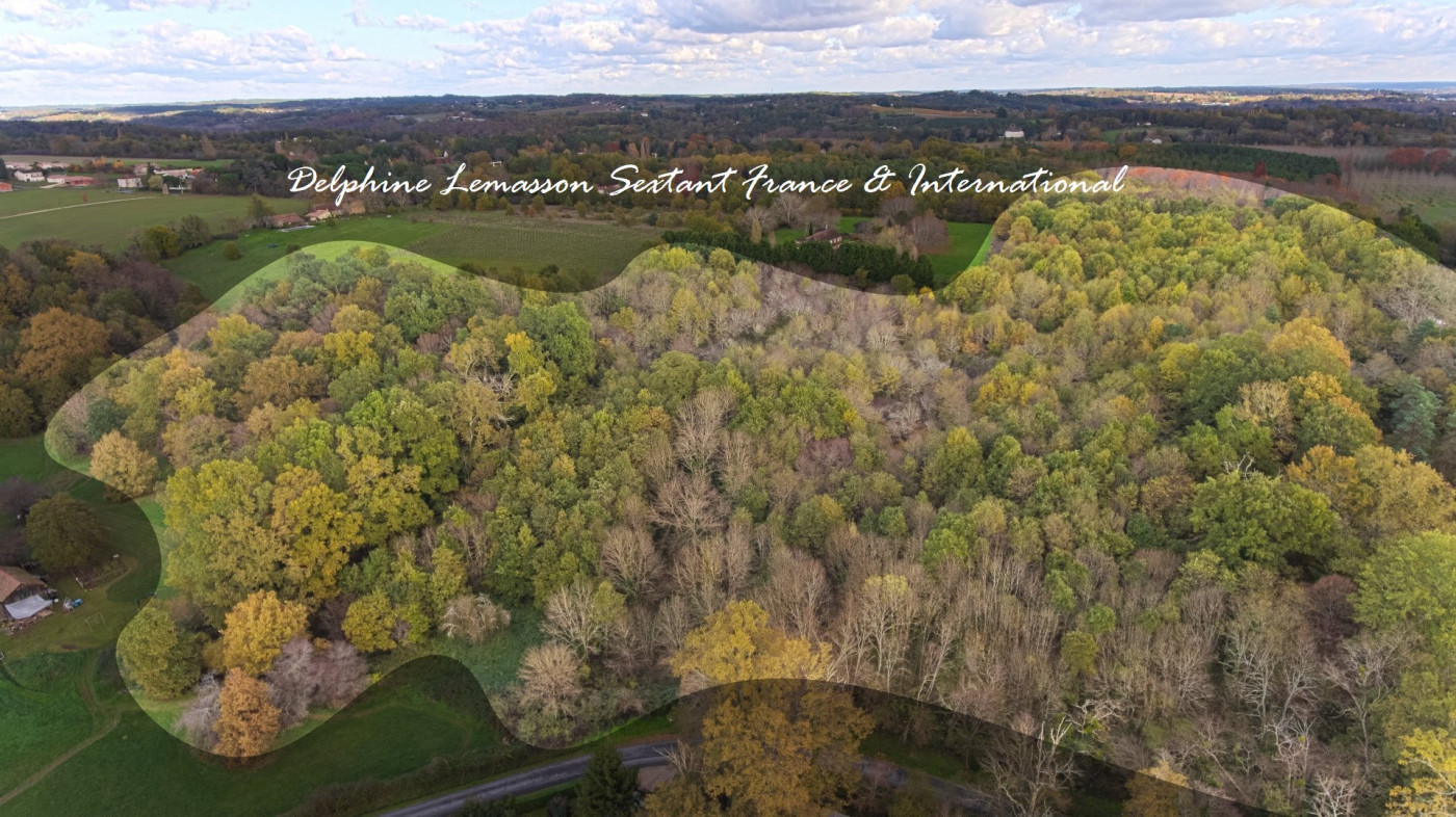 vente Terrain boisé – forêt Bergerac - Photo 2