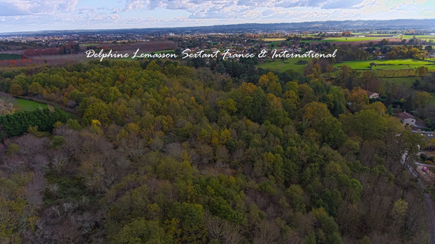 vente Terrain boisé – forêt Bergerac - Photo 3