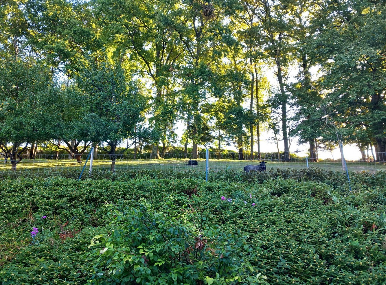 vente Maison Vernou Sur Brenne - Photo 12