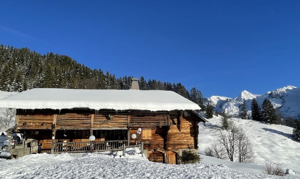vente Le Grand Bornand