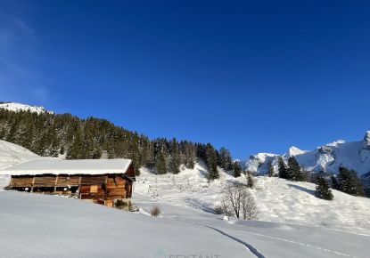 vente Chalet Le Grand Bornand