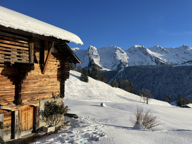 vente Chalet Le Grand Bornand - Photo 4