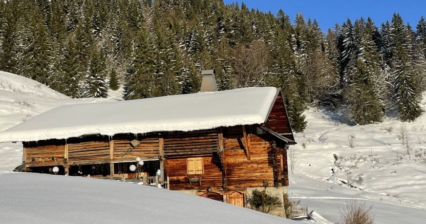vente Chalet Le Grand Bornand
