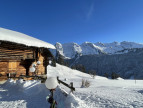 vente Chalet Le Grand Bornand