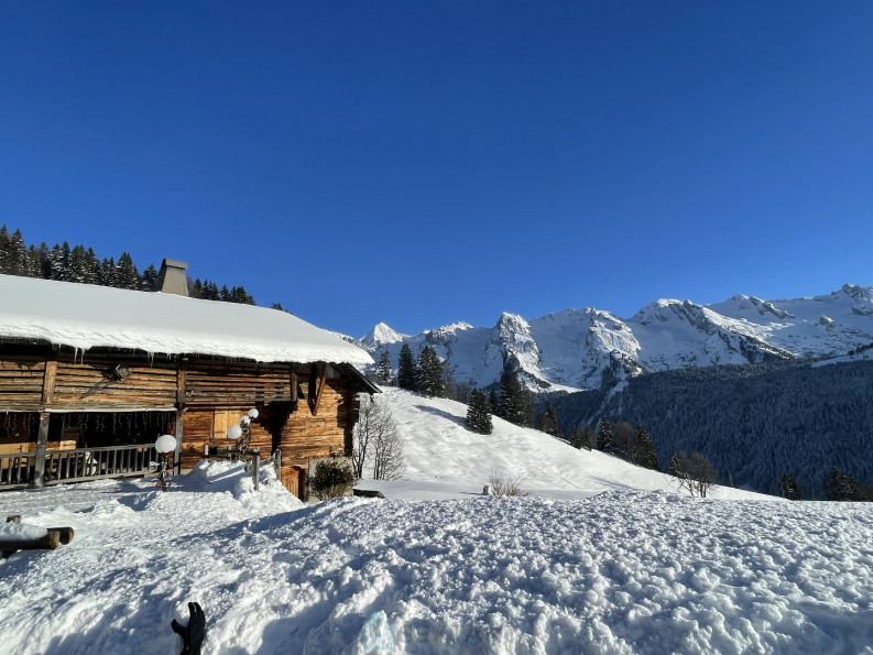 vente Chalet Le Grand Bornand - Photo 5