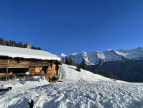 vente Chalet Le Grand Bornand