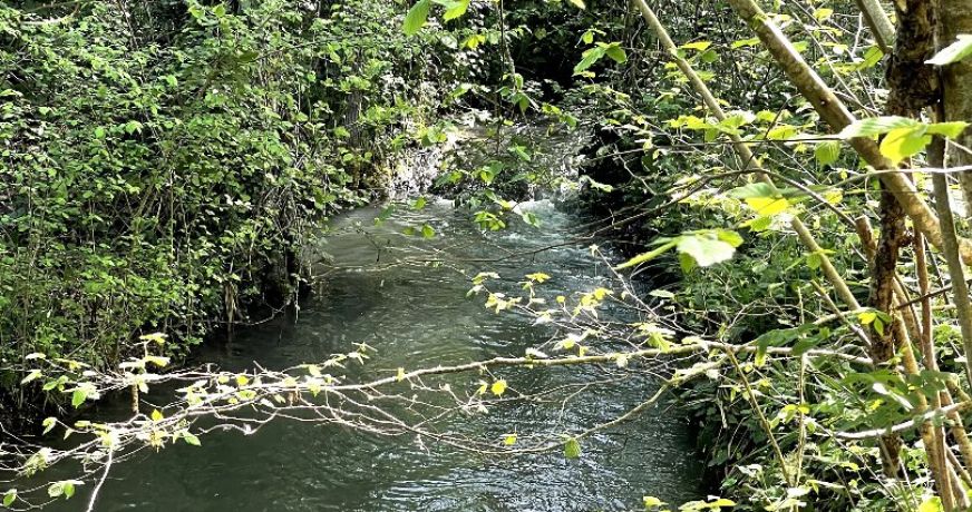 vente Moulin Dolmayrac