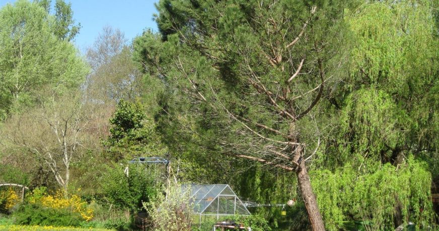 vente Moulin Dolmayrac