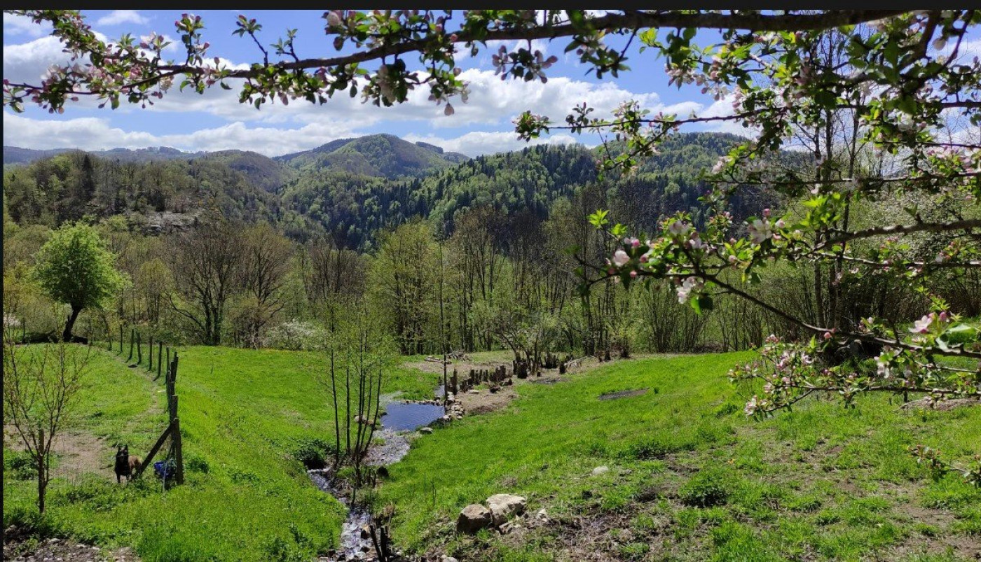 vente Maison Tremouille - Photo 17