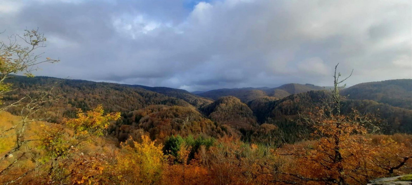 vente Maison Tremouille - Photo 14