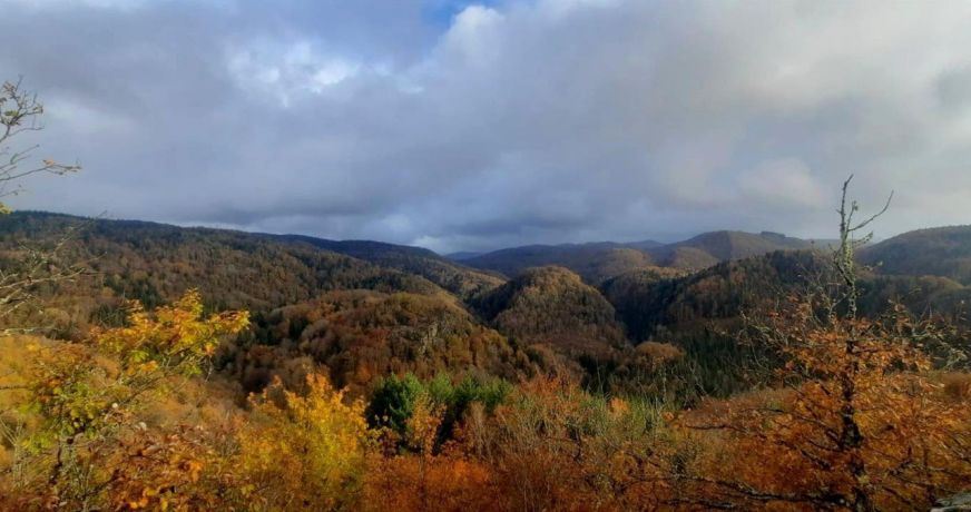 vente Maison Tremouille