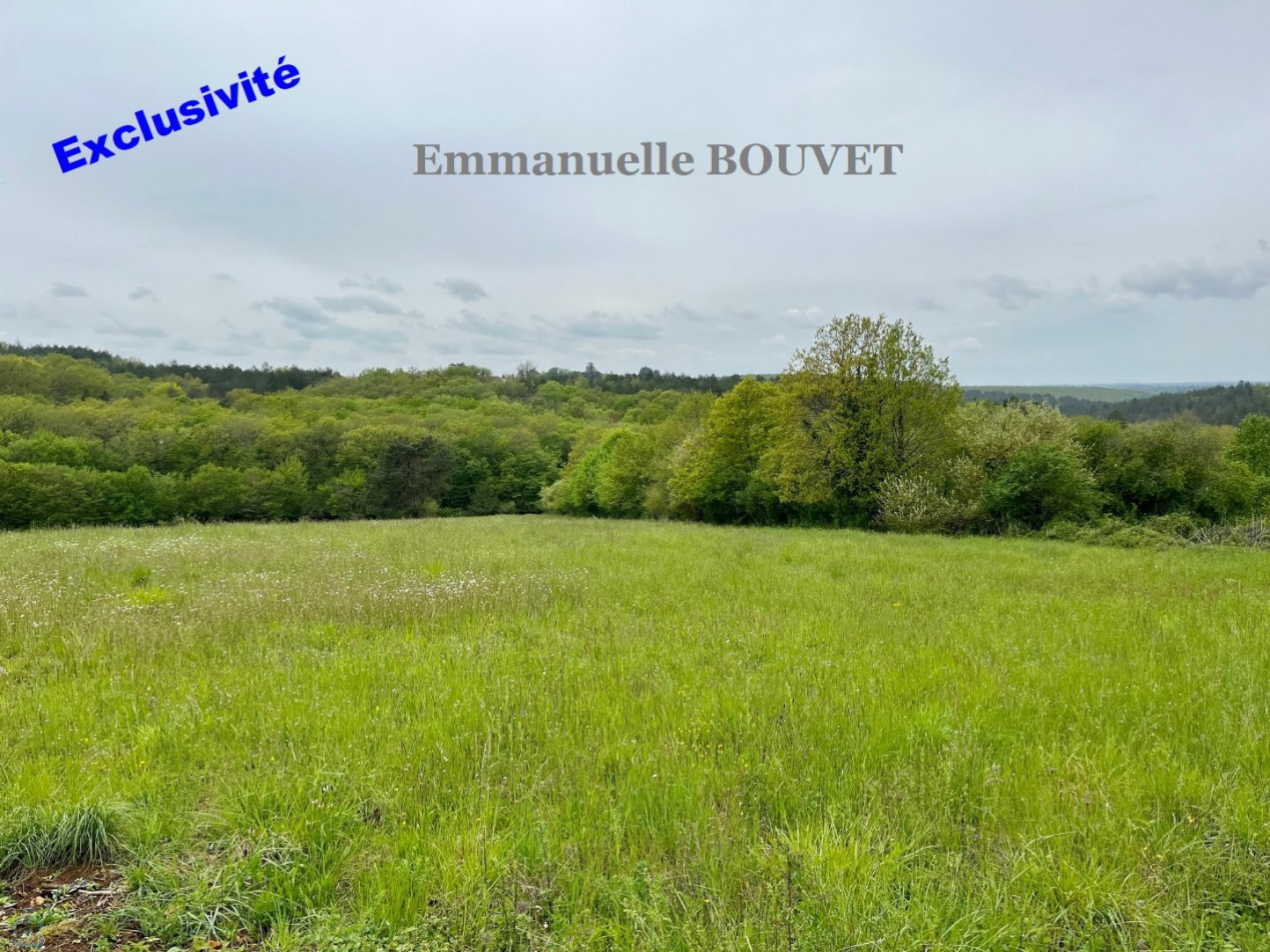 vente Terrain constructible Pontours - Photo 1