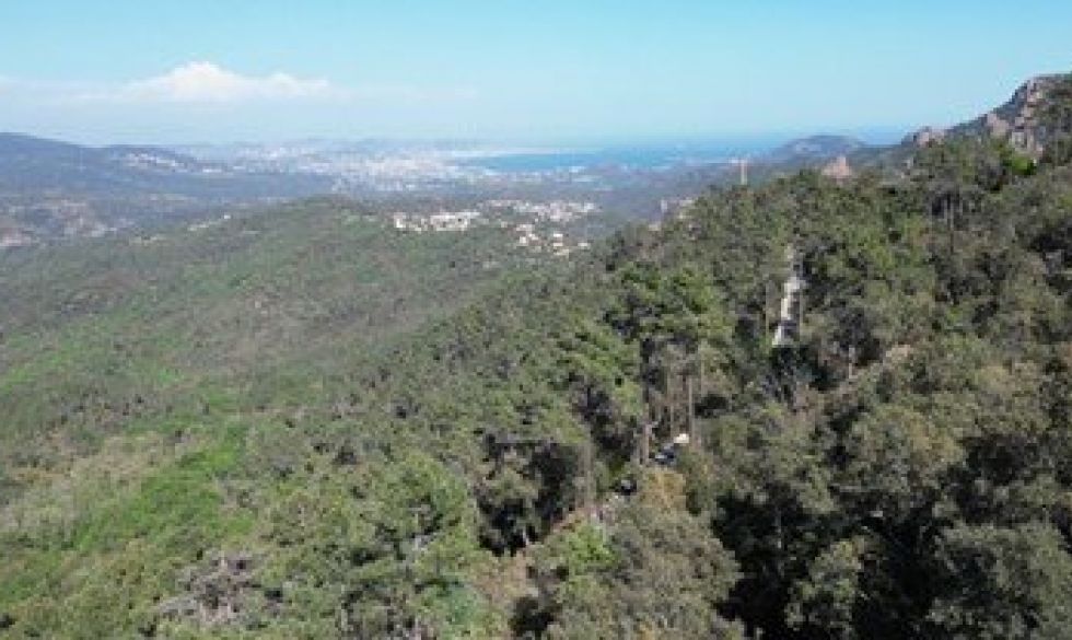 vente  Saint-jean-de-l'esterel