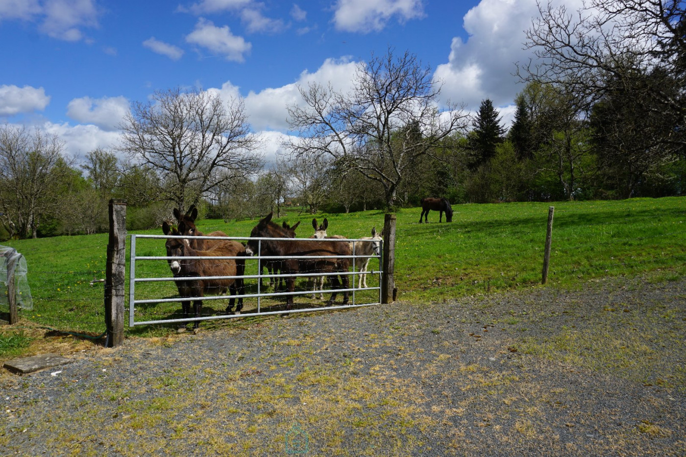 vente Domaine Sarrazac - Photo 14