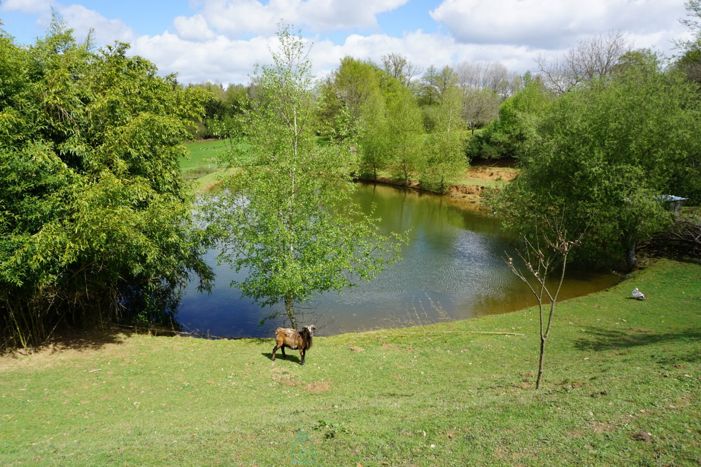 vente Domaine Sarrazac - Photo 12