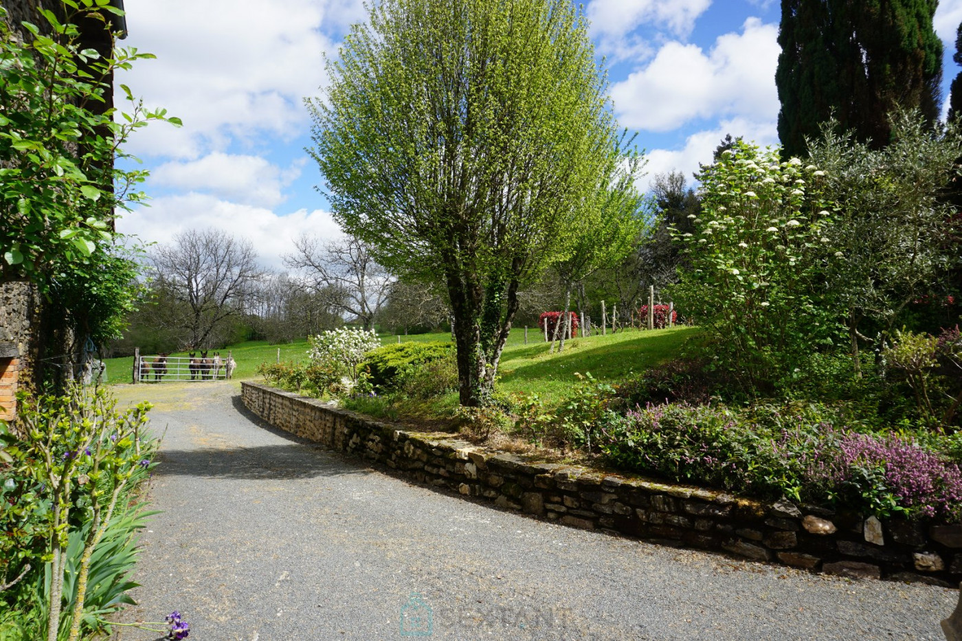 vente Domaine Sarrazac - Photo 16