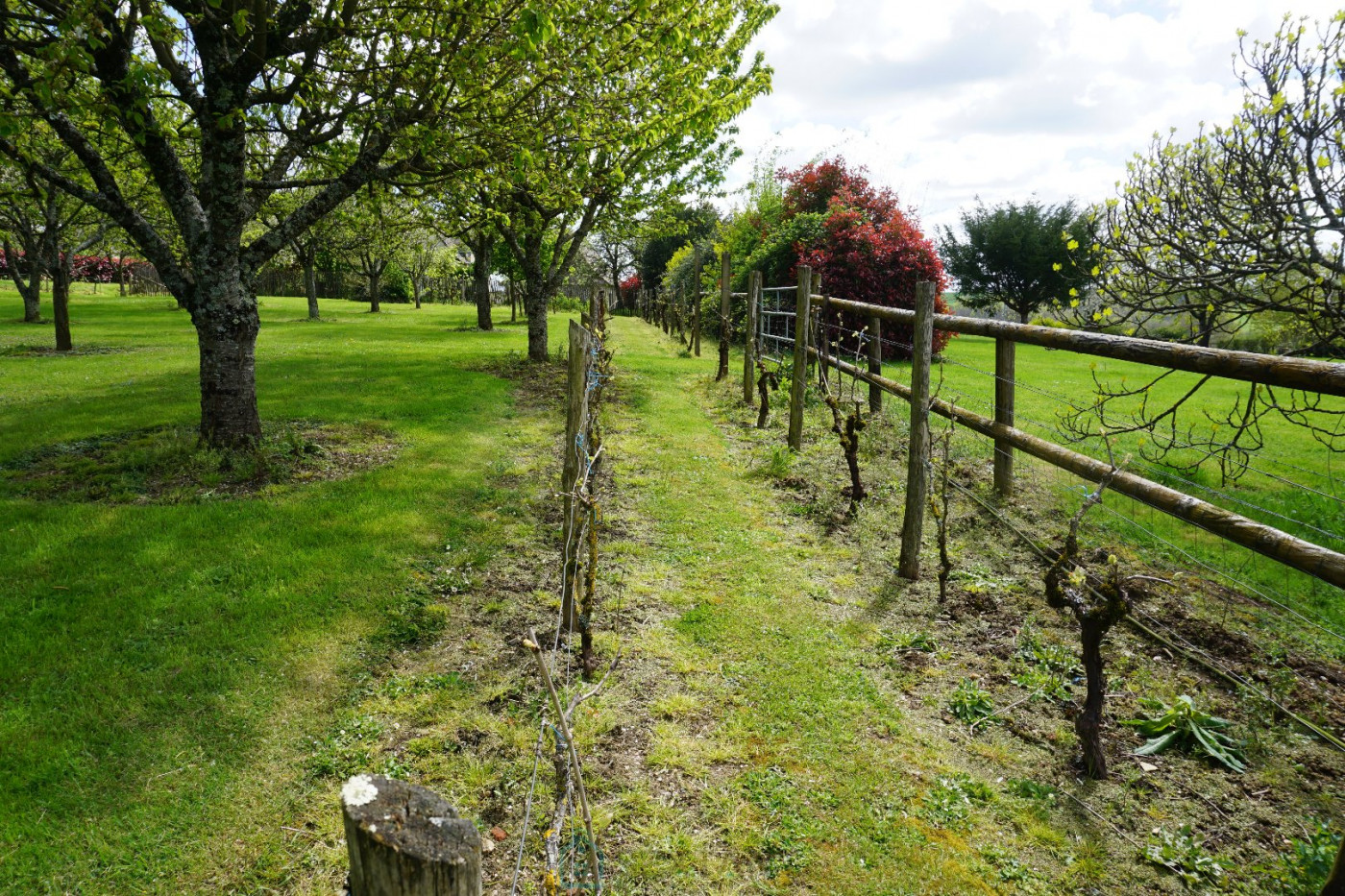 vente Domaine Sarrazac - Photo 11