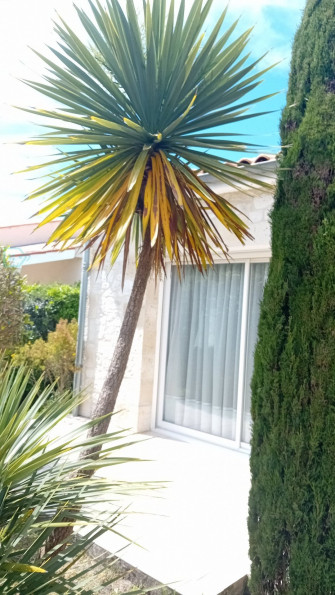 vente Maison individuelle Les Mathes - Photo 6