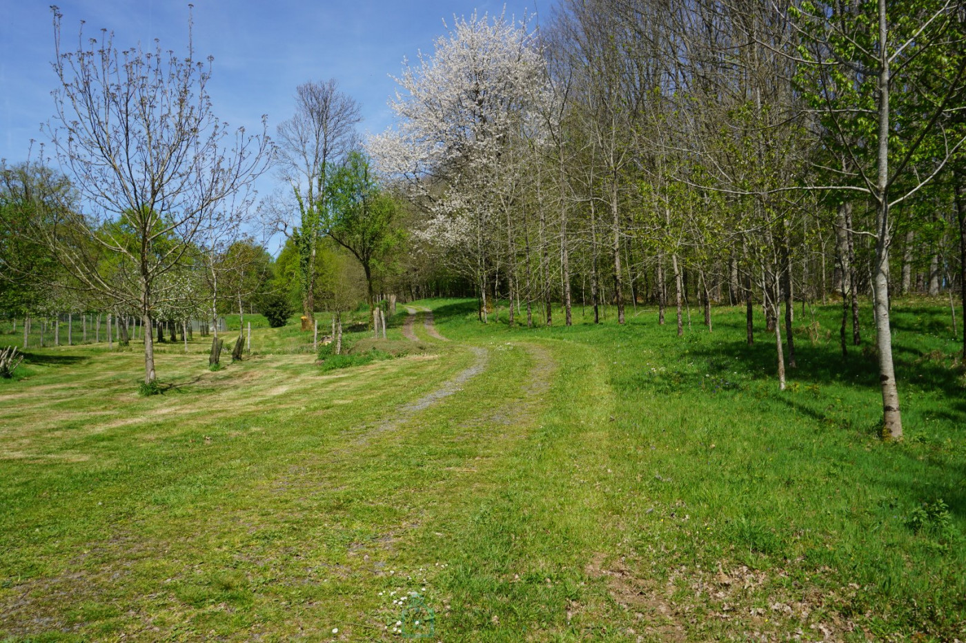 vente Domaine Sarlande - Photo 13