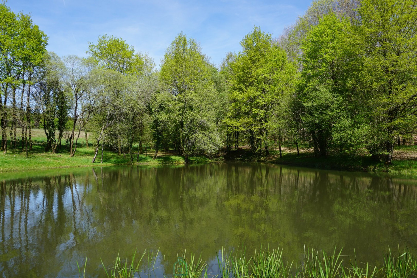 vente Domaine Sarlande - Photo 12