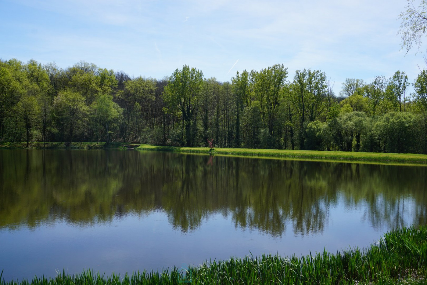 vente Domaine Sarlande - Photo 11