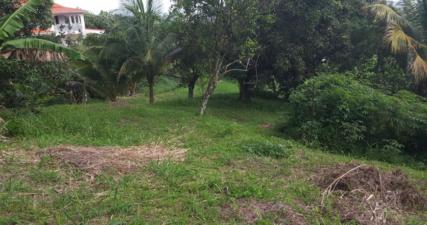vente Terrain en lotissement Fort De France