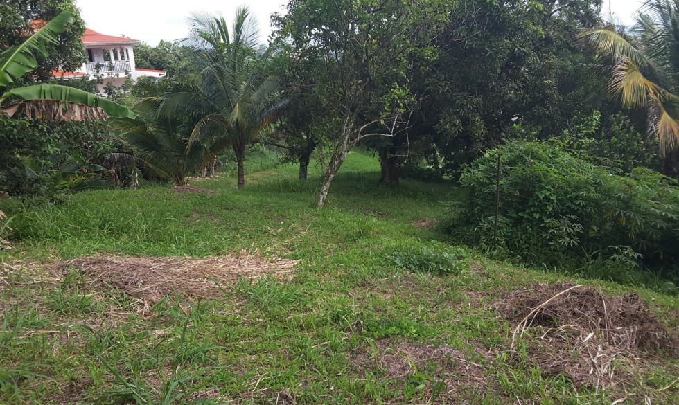 vente Fort De France