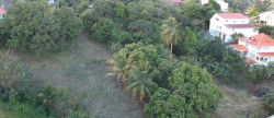 vente Terrain en lotissement Fort De France