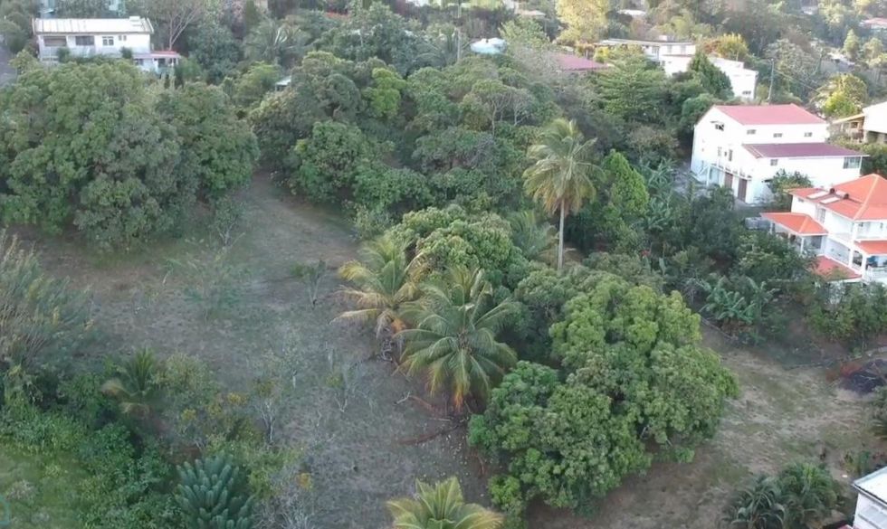 vente Fort De France