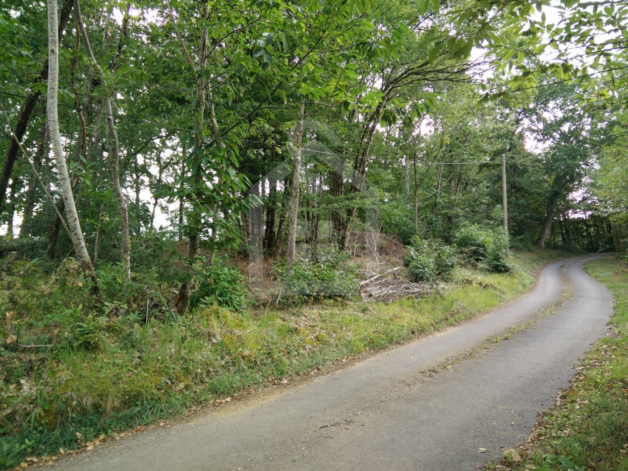 vente Terrain constructible Grolejac - Photo 5