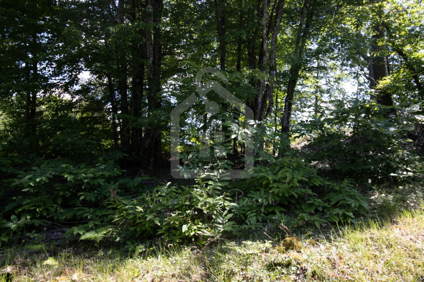 vente Terrain constructible Grolejac - Photo 6