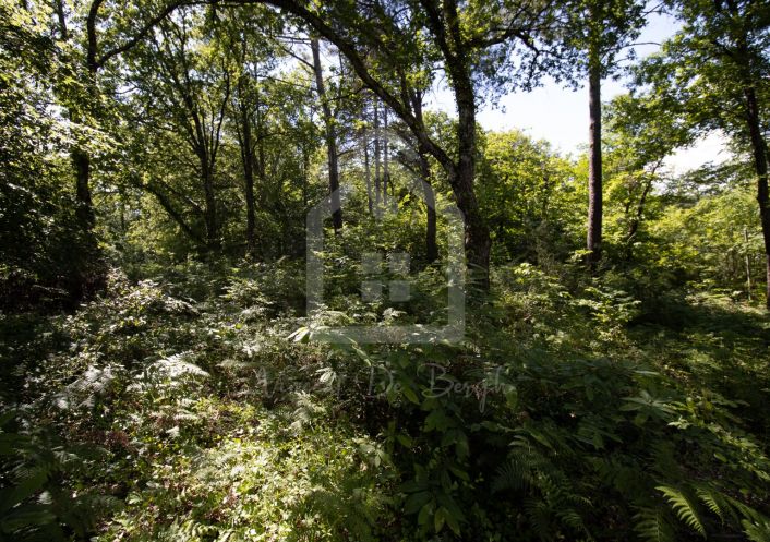 vente Terrain constructible Grolejac