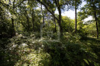 vente Terrain constructible Grolejac