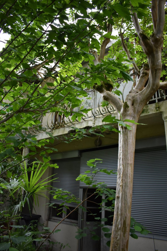 vente Maison de caractère Bordeaux - Photo 5