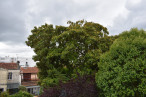 vente Maison de caractère Bordeaux