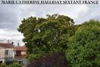 vente Maison de caractère Bordeaux
