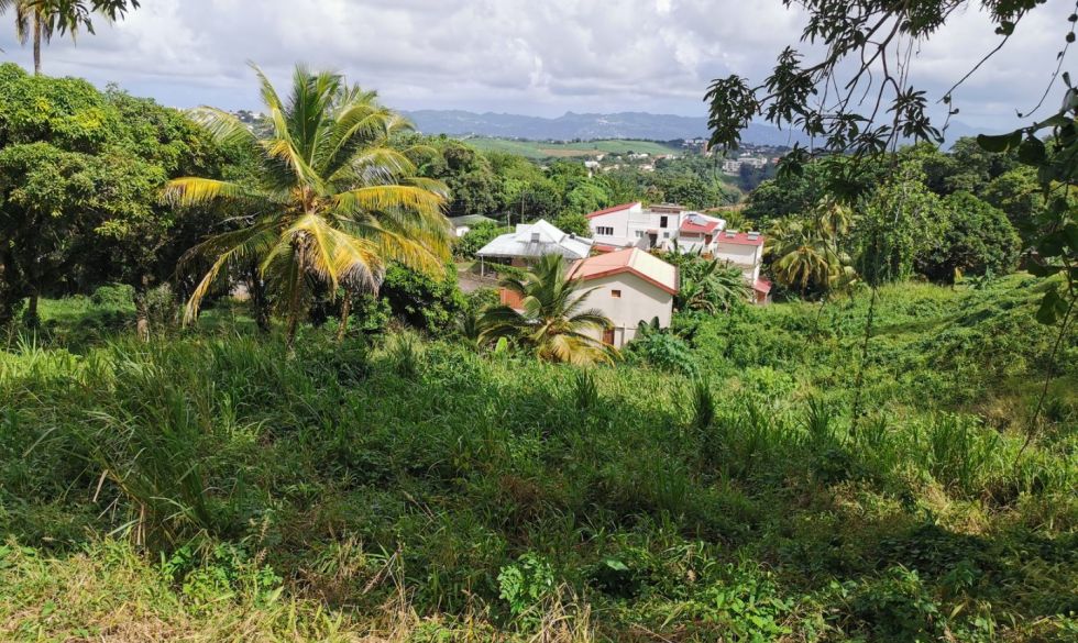 vente Fort De France