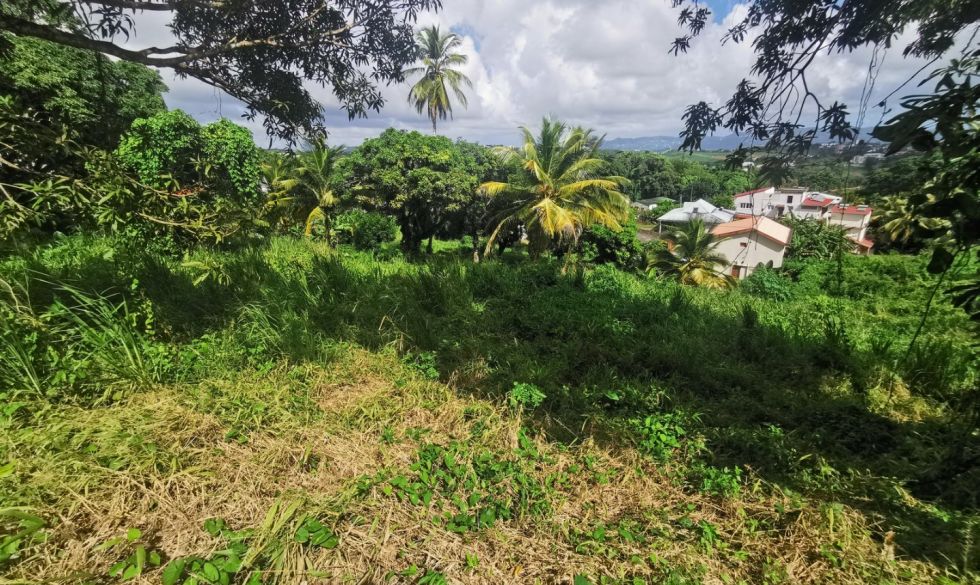 vente Fort De France