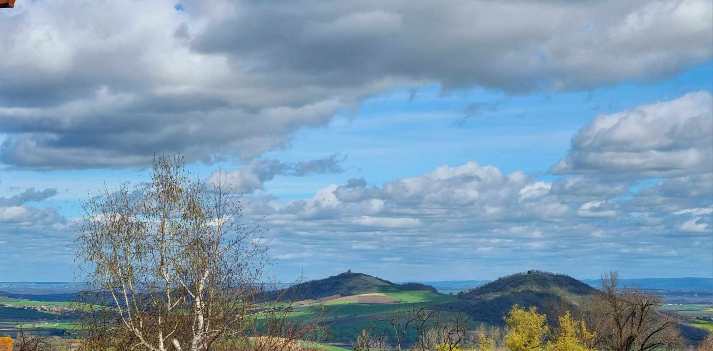 vente Maison de village Saint Julien De Coppel - Photo 4