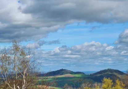 vente Maison de village Saint Julien De Coppel