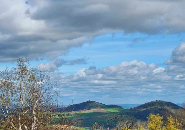 vente Maison de village Saint Julien De Coppel