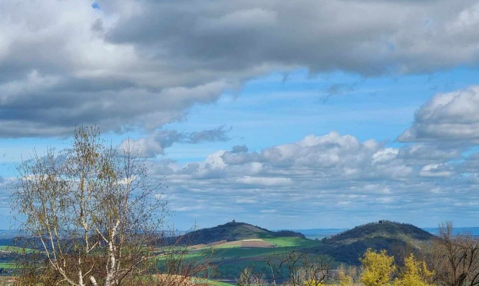 vente  Saint Julien De Coppel