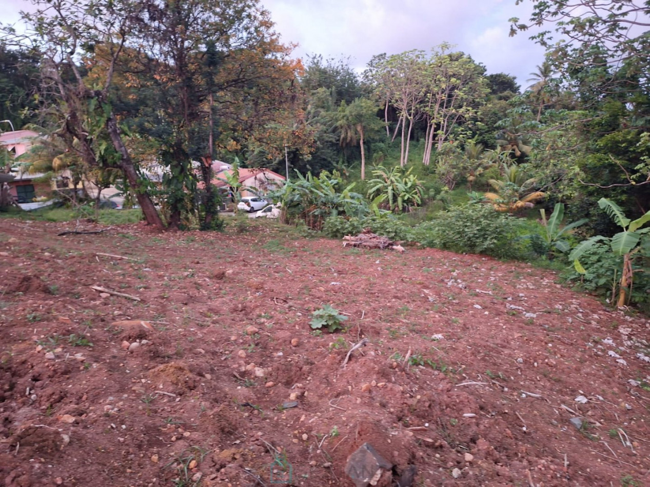 vente Terrain commercial Saint Esprit - Photo 2