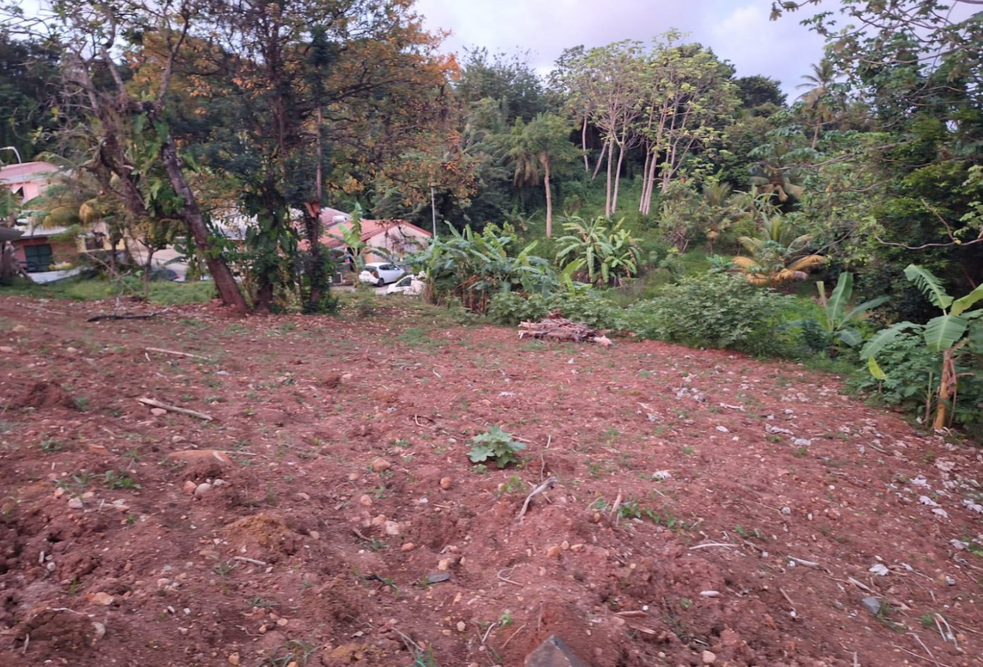 vente Terrain commercial Saint Esprit - Photo 2